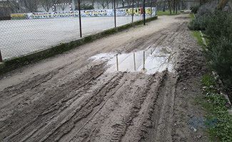 Aspecto que presenta uno de los caminos del parque