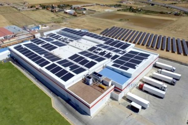 Instalaciones de Freigel en Roales