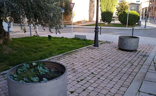 Fotografías: Manuel Herrero Alonso