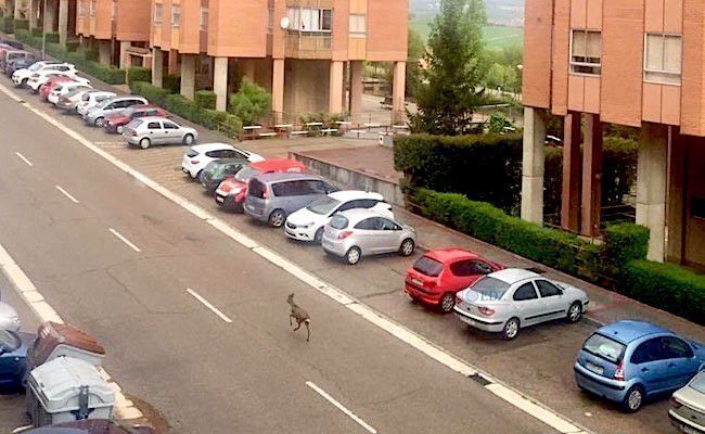 Fotografía compartida por Óscar Puente