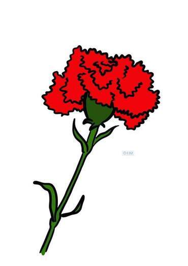 Clavel difundido por Marie-line Darcy, para que se coloque en los balcones