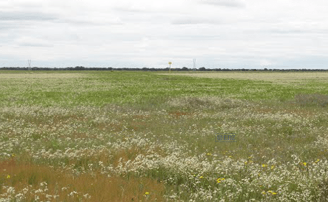 Terrenos de Barcial del Barco, donde se ubicará la Biorrefinería