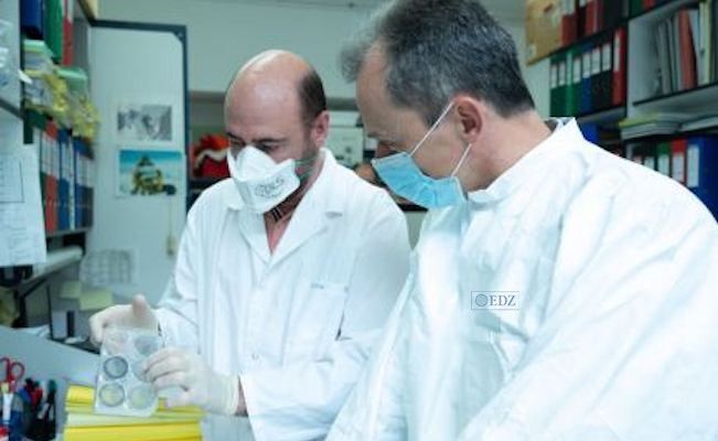 Grupo de investigación, liderado por Mariano Esteban y Juan García Arriaza