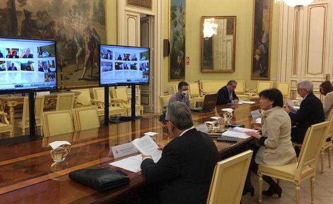 Imagen de la reunión telemática
