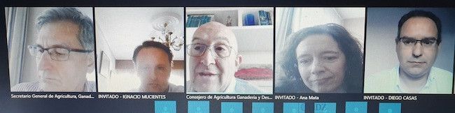 Reunión telemática