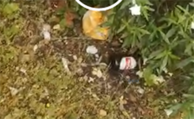 Captura del vídeo que han colgado en RR.SS. / Fuente: Perfil de Facebook de el