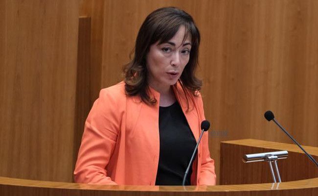 Mª Teresa Gago, procuradora de Cs por Zamora