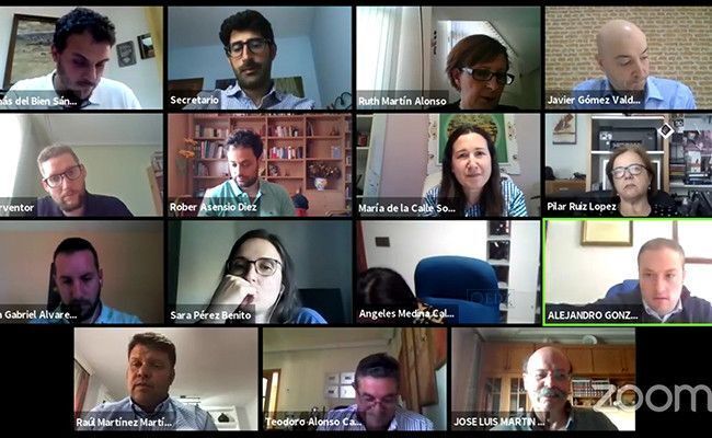 Captura del Pleno telemático, celebrado el 9 de junio.