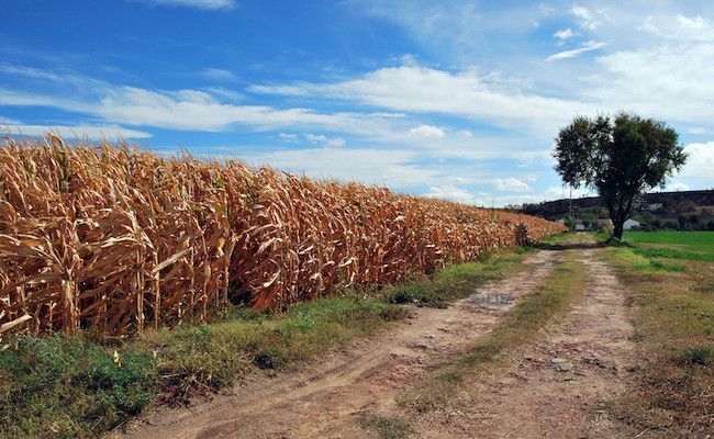 Fotografía de Esteban Pedrosa