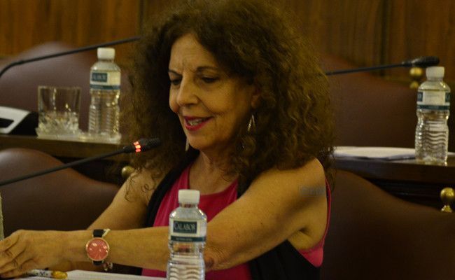 Laura Rivera, portavoz de IU en la Diputación