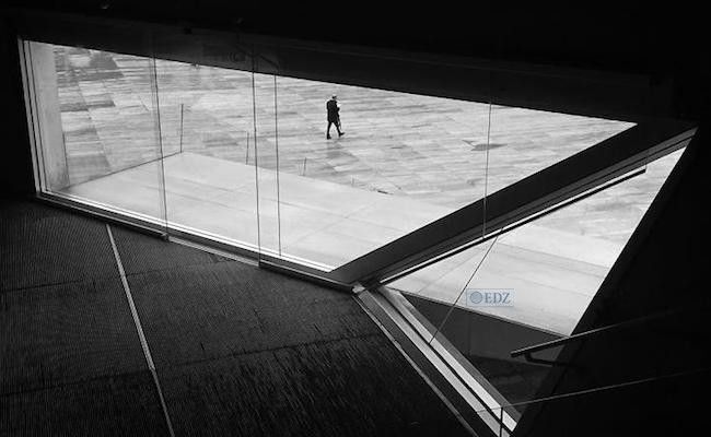 "A Janela", obra de Antonio Tedim ganador del Gran Premio.