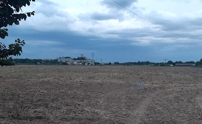 Imagen de Teresa Pedrero