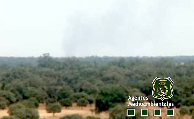 Imagen desde la torre de control de los agentes mediambientales