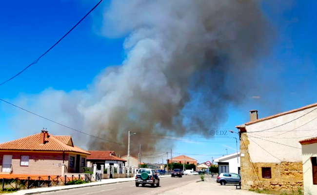 Imagen de Mary Gonzalez Darriba