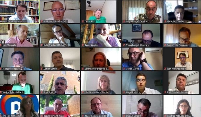 Imagen de la reunión telemática