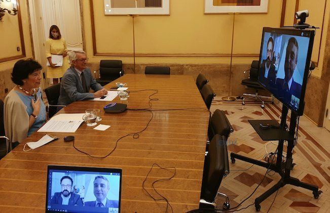 Momento de la reunión telemática