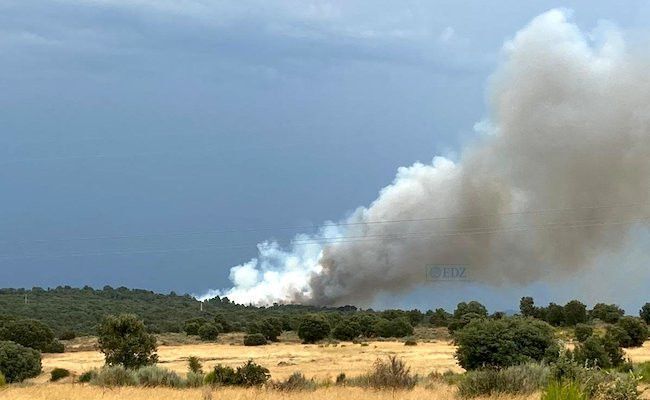 Imagen de los agentes medioambientales del incendio de Rionegro