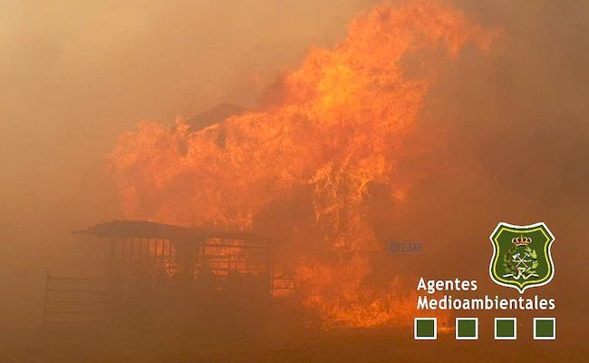 Imagen de los agentes medioambientales