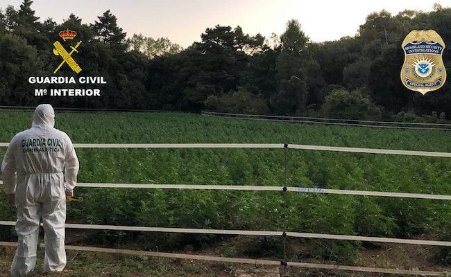 Imágenes de la operación