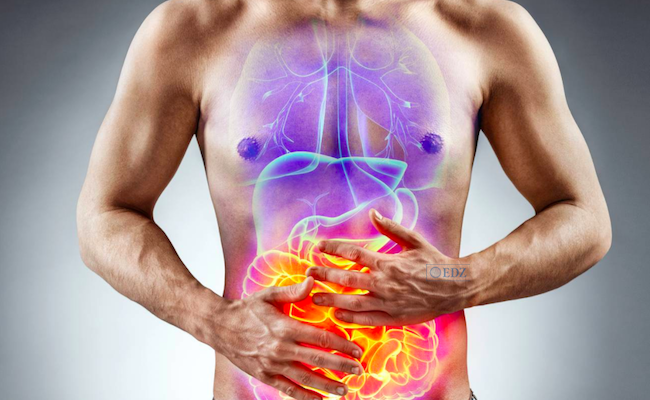 Estudios adicionales revelaron que este fragmento de proteína viral estaba presente en pacientes con cáncer renal o cáncer de pulmón cuyos tumores eran sensibles al tratamiento con inmunoterapia. / © Adobe Stock