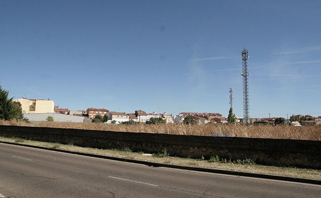 Secarrales en la margen izquierda del Duero