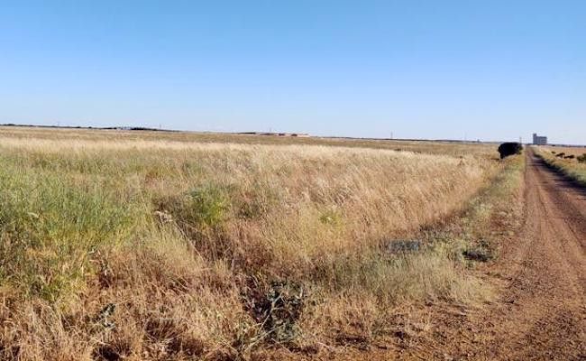 Terrenos de Barcial