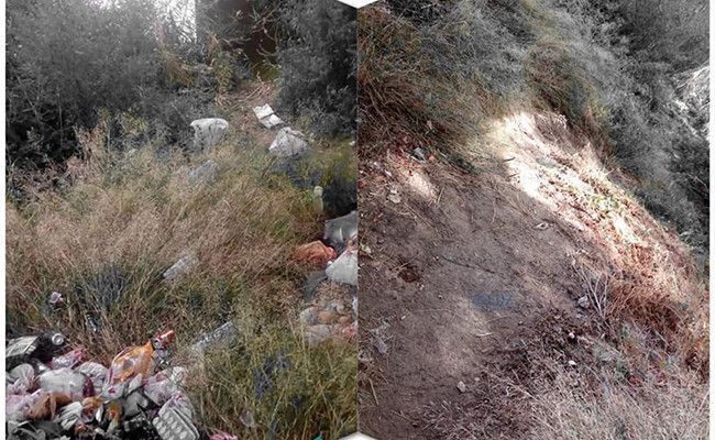 Fuente: Perfil de Tomás del Bien.