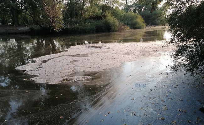 Manuel Herrero Alonso