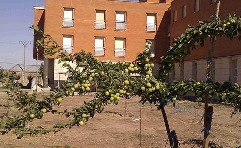 Imagen de la residencia de Villarrín de Campos