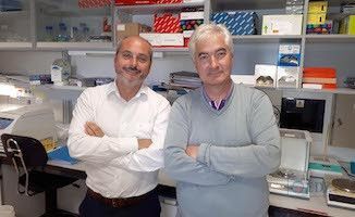 Ocaña (izquierda) y Pandiella. Foto: CIC.