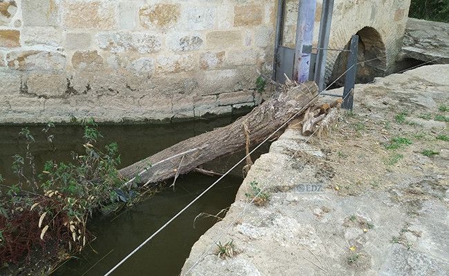 Fuente: Manuel Herrrero.