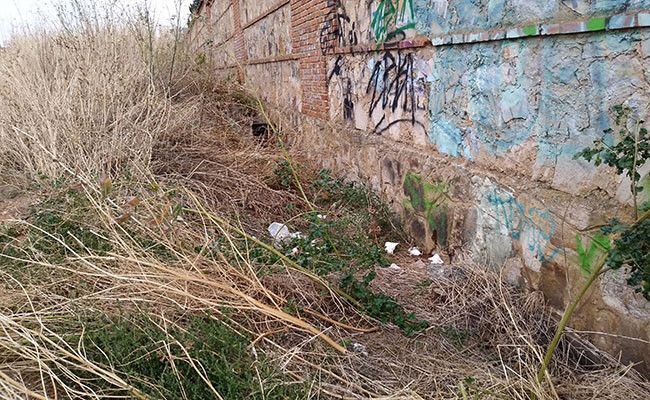 Manuel Herrero Alonso