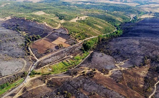 Fuente: Subdelegación del Gobierno en Zamora.