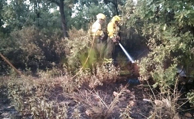 Agentes medioambientales, actuando en Grisuela (APAMCYL)