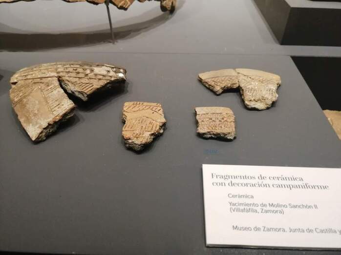 Fragmentos de cerámica de Villafáfila