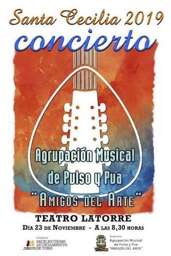Cartel del concierto