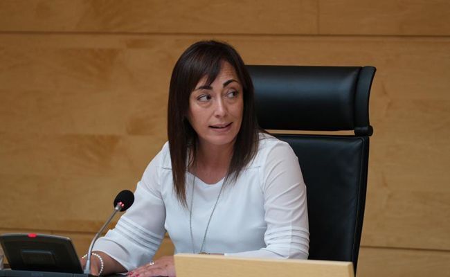 Teresa Gago, procuradora de Cs por Zamora