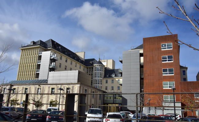 Virgen de la Concha (fotografía: Esteban Pedrosa)