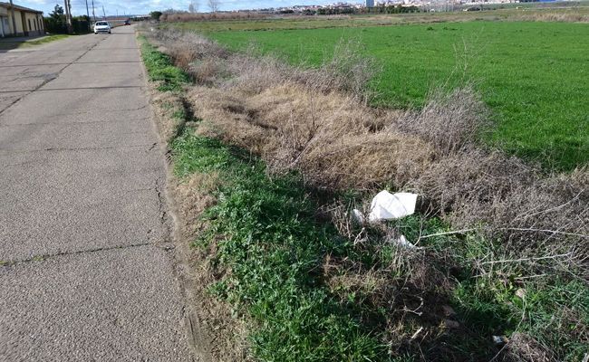 Manuel Herrero Alonso