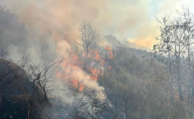 Imagen del incendio (BRIF Tabuyo)