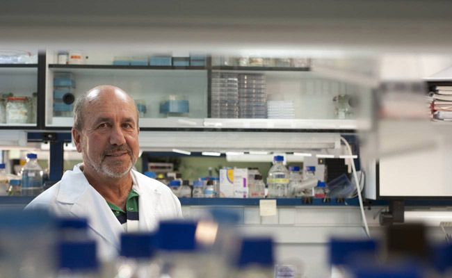 Mariano Esteban, director del Laboratorio de Poxvirus y Vacunas en el CNB-CSIC. / Xiomara Cantera / Comunicación CSIC