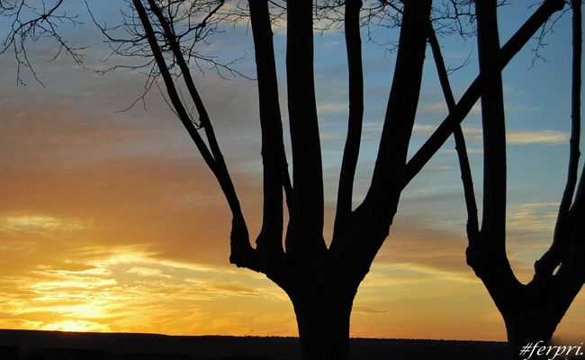 Ocaso, en el invierno de Zamora (Ferpri)