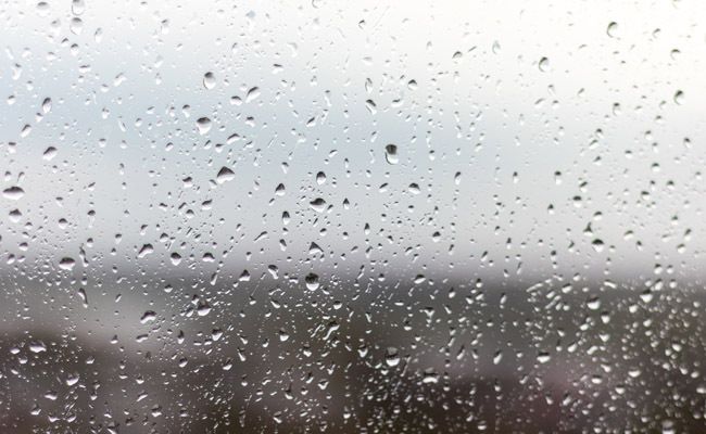 Imagen de wirestock en Freepik