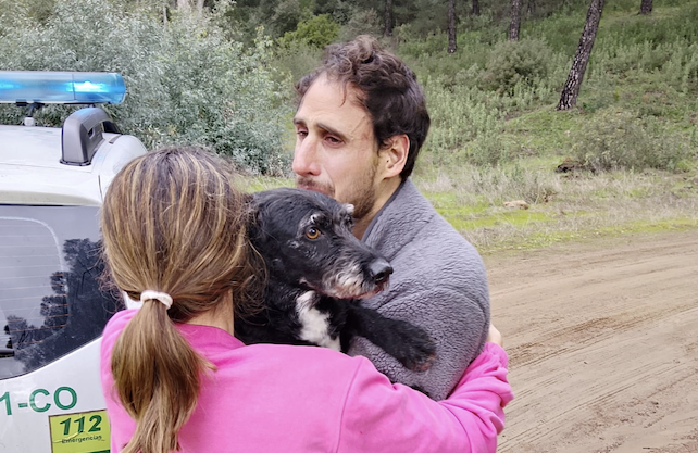 Rescatado Boro, el perro desaparecido tras el accidente ferroviario de Adamuz
