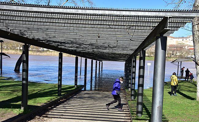 Foto Esteban Pedrosa