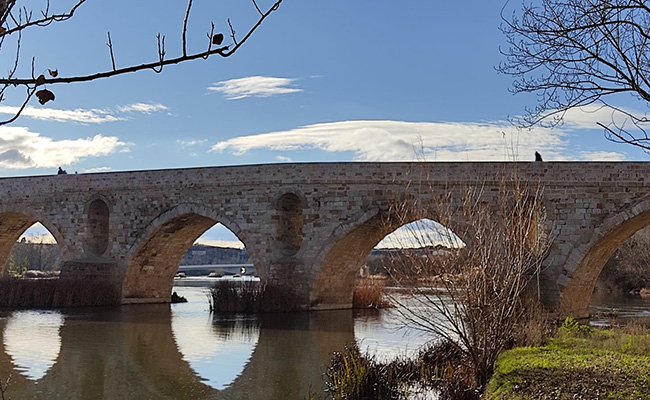 Los zamoranos apostarían por un Puente de Piedra con sus dos torres