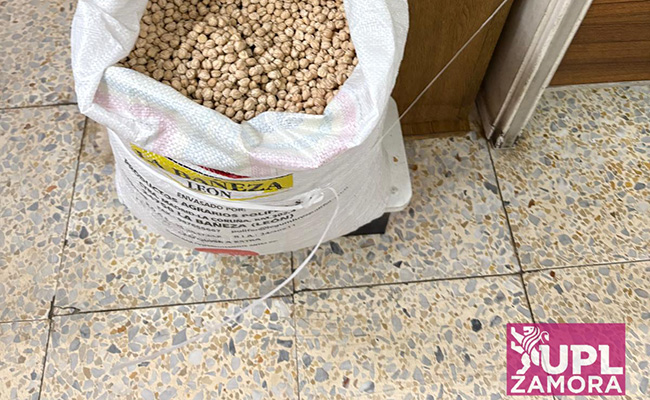 UPL pide explicaciones a la Junta por elegir Valladolid como sede del Día Mundial de las Legumbres