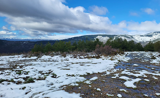 El CECOPI de Zamora desactiva el dispositivo del PLANCAL por nevadas