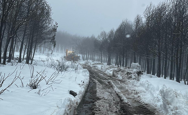 La Junta y el Gobierno central abandonan la alta Sanabria, según Ahora Decide