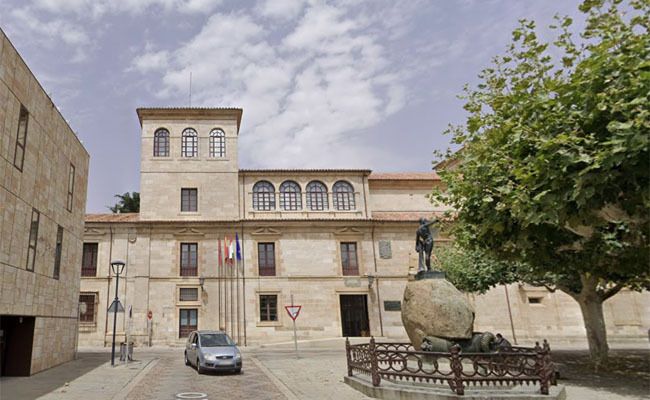 La Diputación aprueba la contratación del servicio de apoyo a la gestión de colonias felinas en municipios de menos de 5.000 habitantes